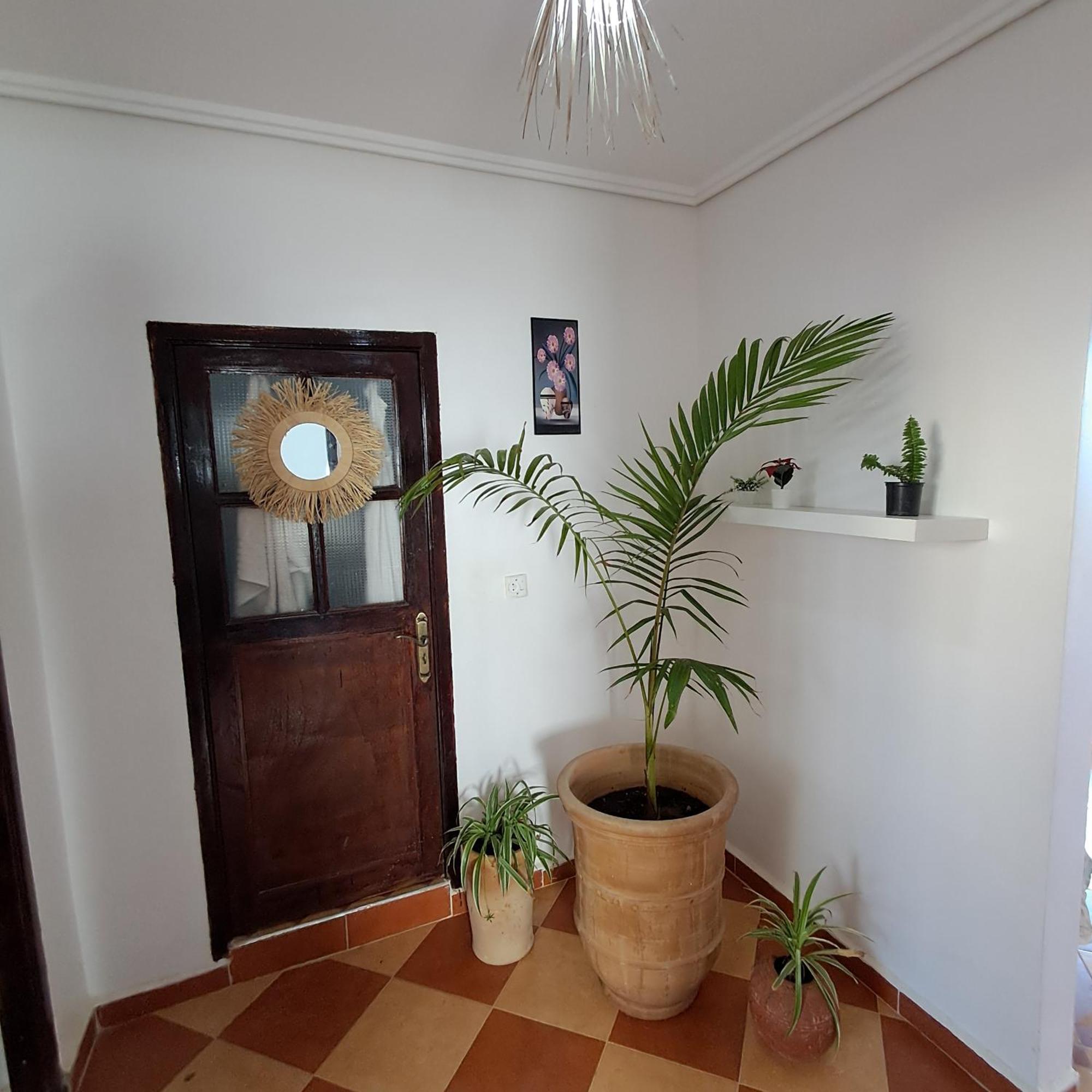Buena Vista Morroco Guest House Tamraght Oda fotoğraf